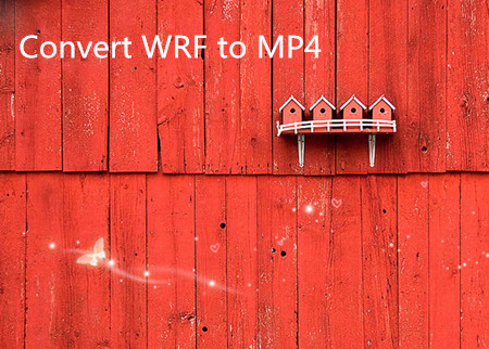 convert wrf to mp4
